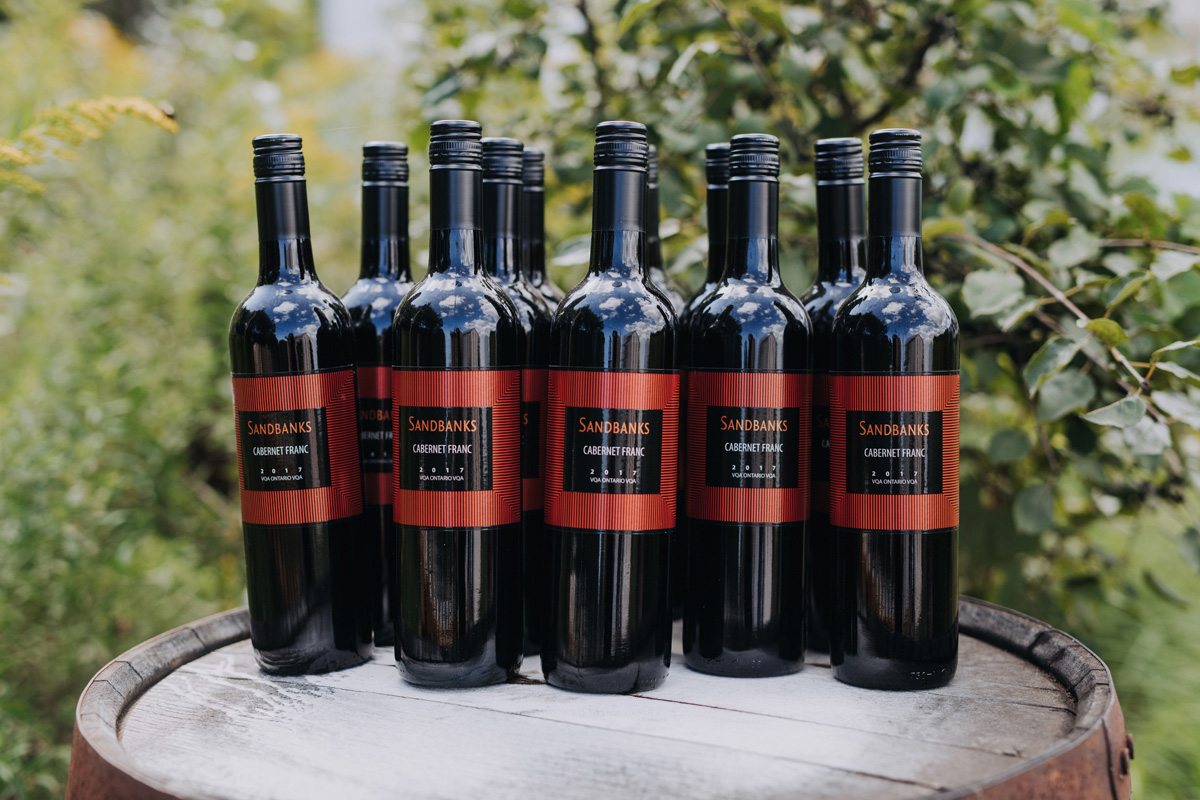 100 Acre Wood Wedding Prince Edward County Pec (30)