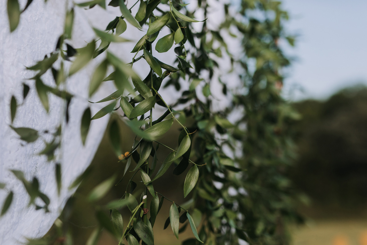 100 Acre Wood Wedding Prince Edward County Pec (32)