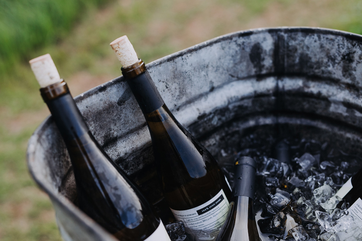 100 Acre Wood Wedding Prince Edward County Pec (68)