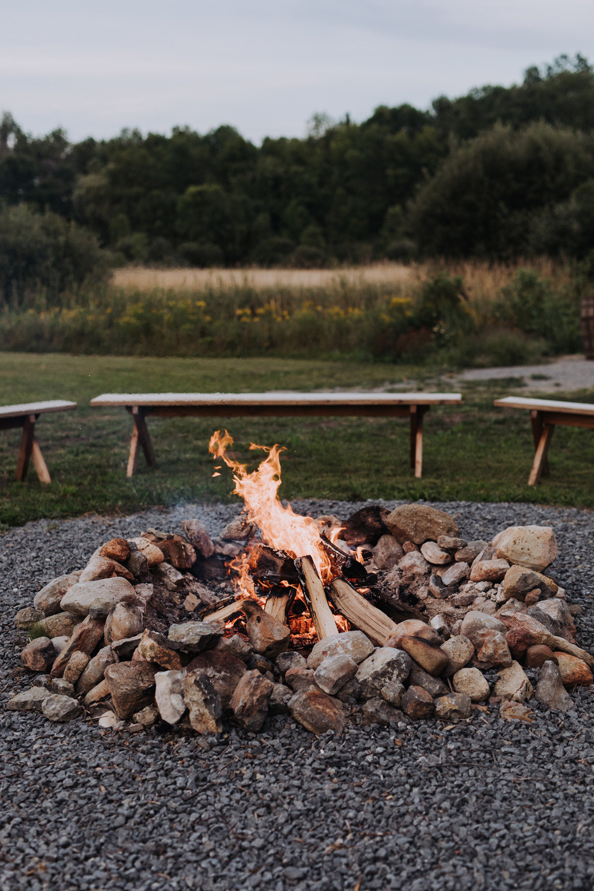 100 Acre Wood Wedding Prince Edward County Pec (77)