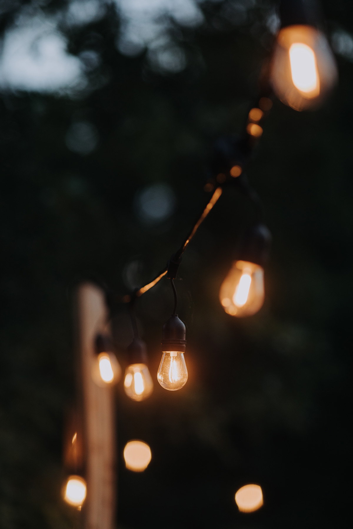 100 Acre Wood Wedding Prince Edward County Pec (78)