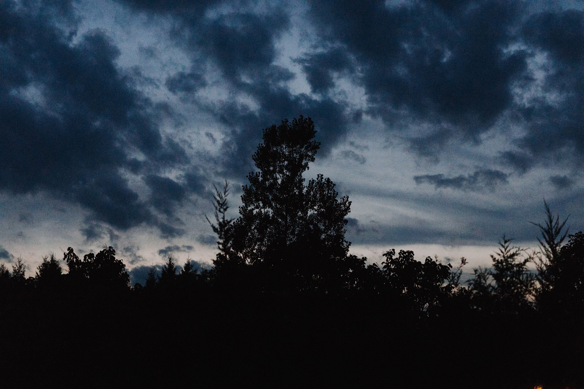 100 Acre Wood Wedding Prince Edward County Pec (81)