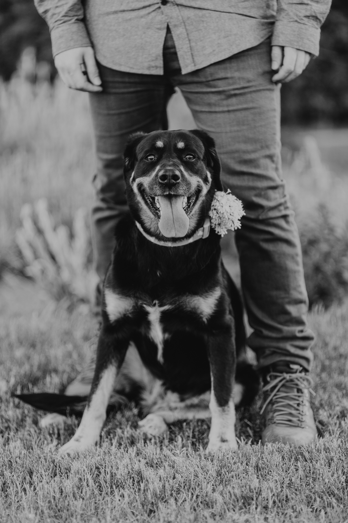 4 Spring Engagement Photos In Ottawa At The Experimental Farm And Arboretum (6)
