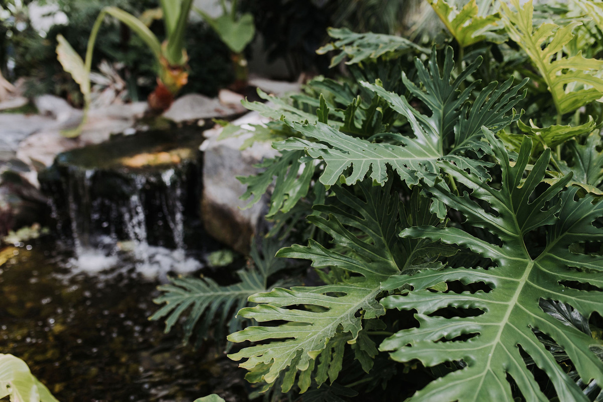 Aquatopia Wedding (15)