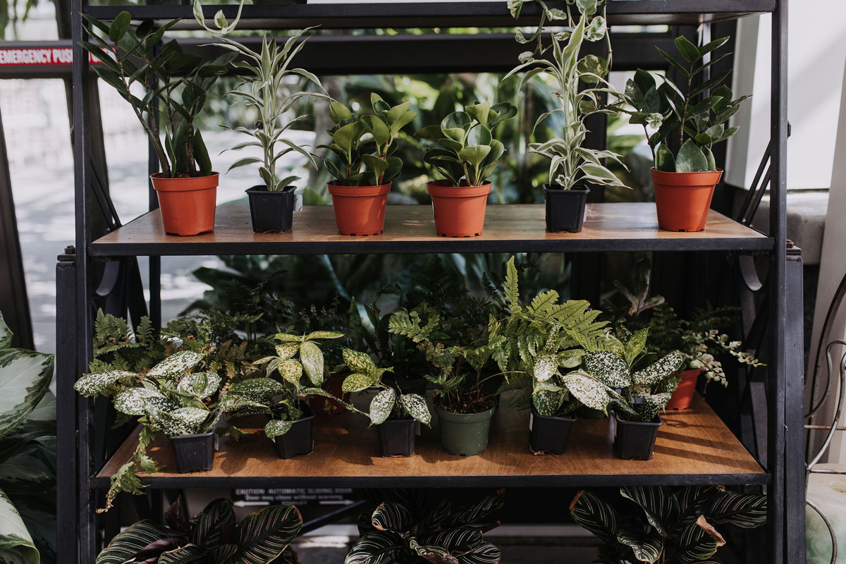 Aquatopia Wedding (17)