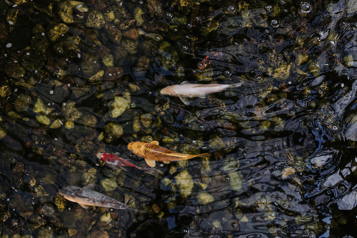 Aquatopia Wedding (19)