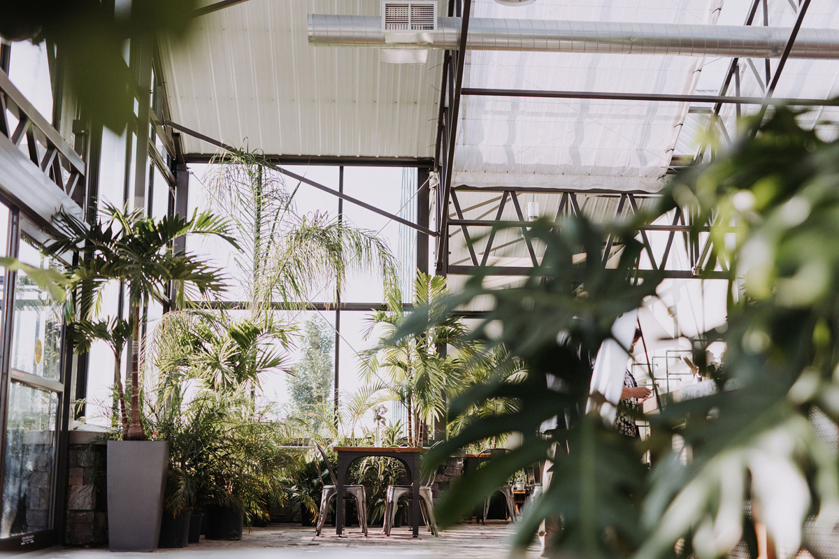 Aquatopia Wedding (52)