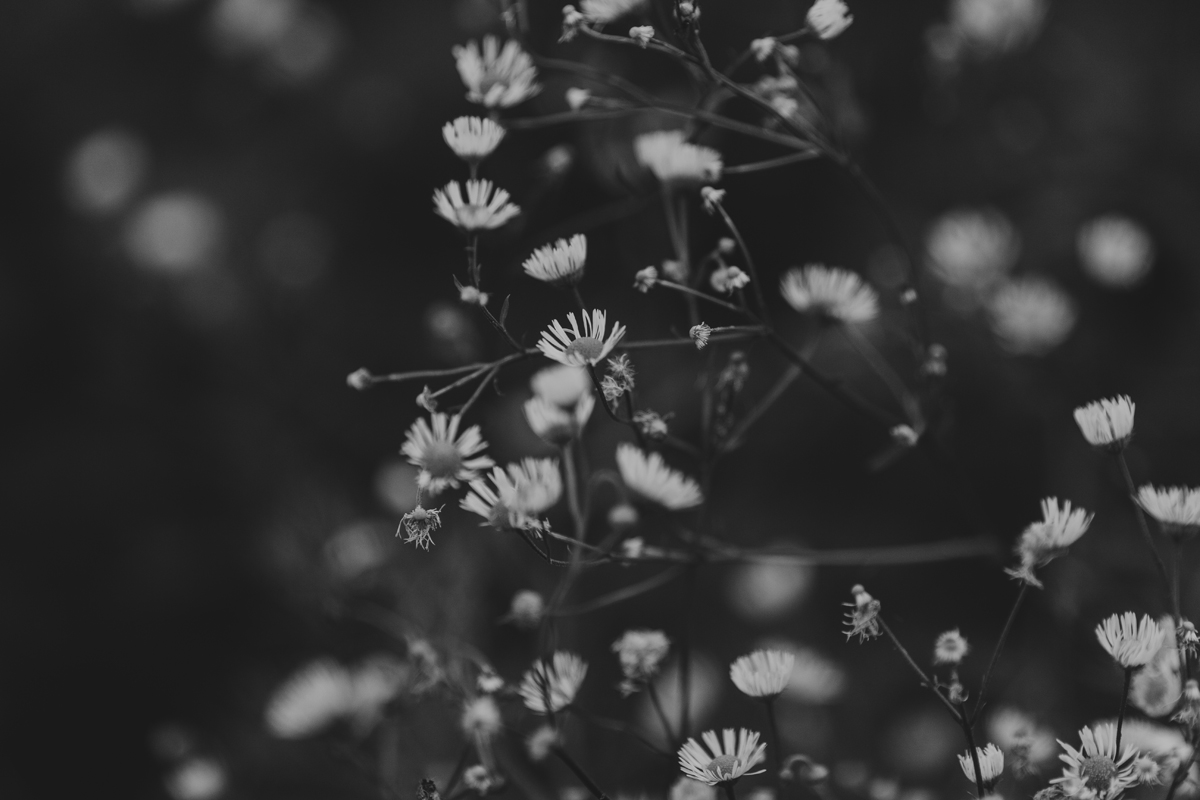 Backyard Wedding Photography Ottawa (58)