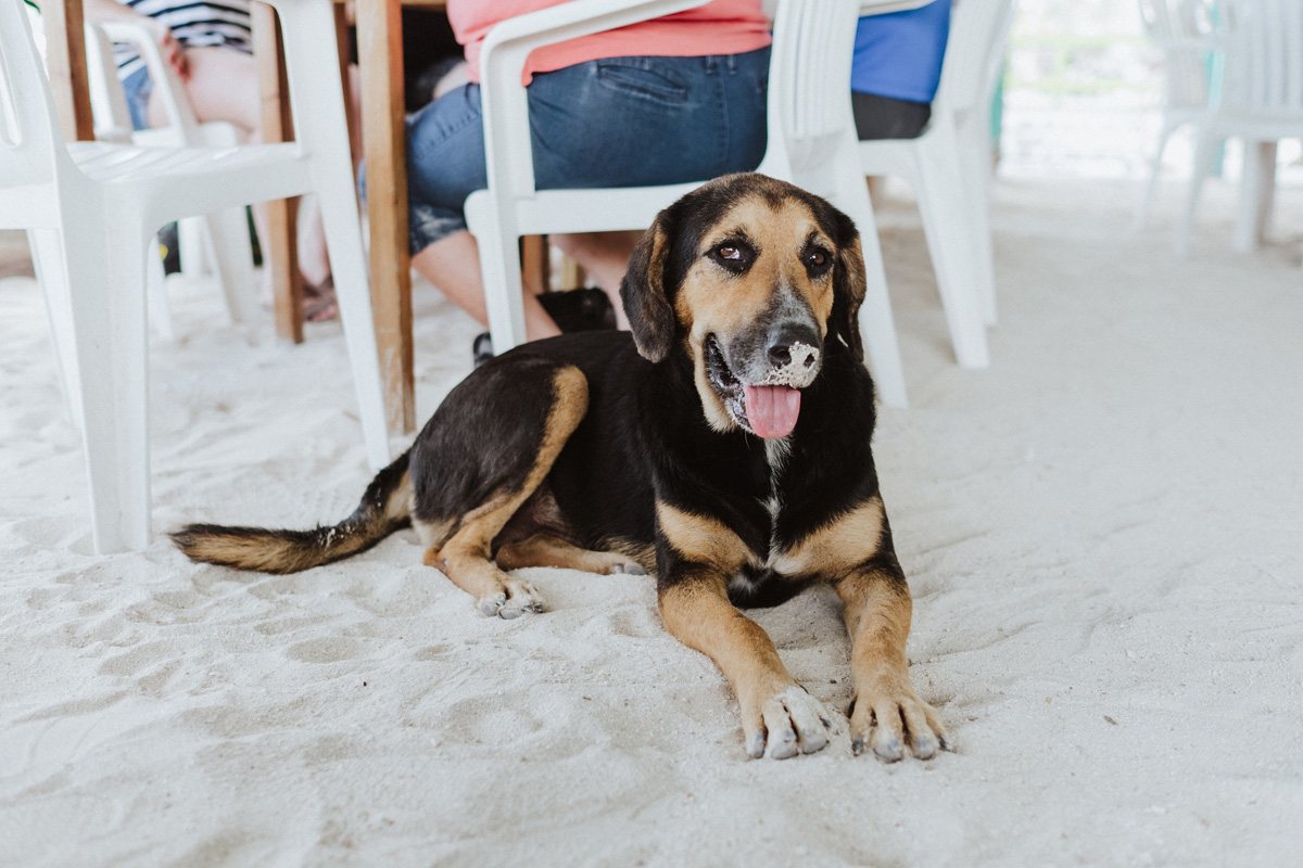 Belize Travel Photos (102)