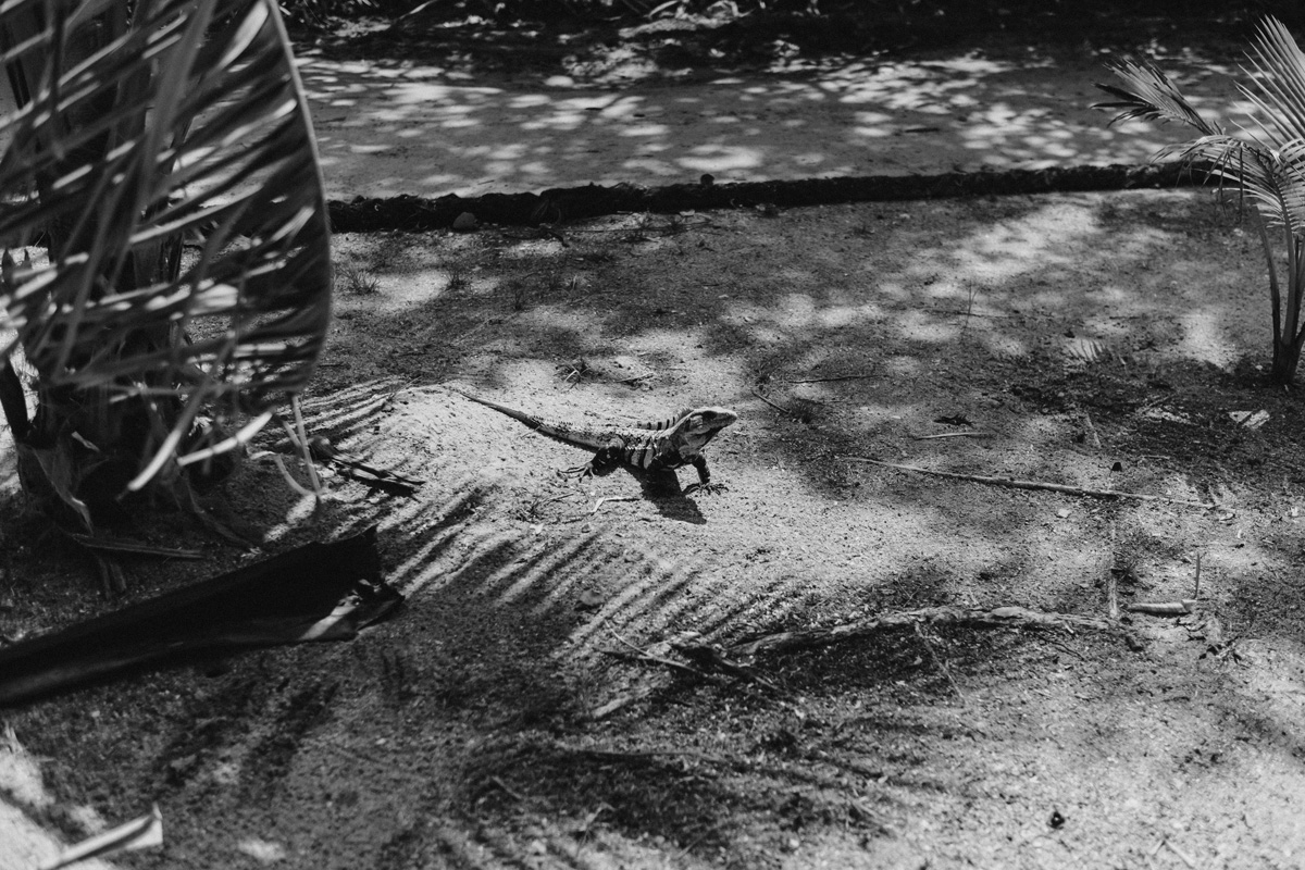 Belize Travel Photos (111)