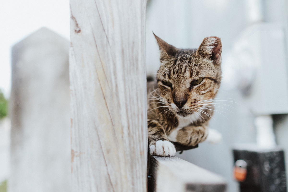 Belize Travel Photos (116)