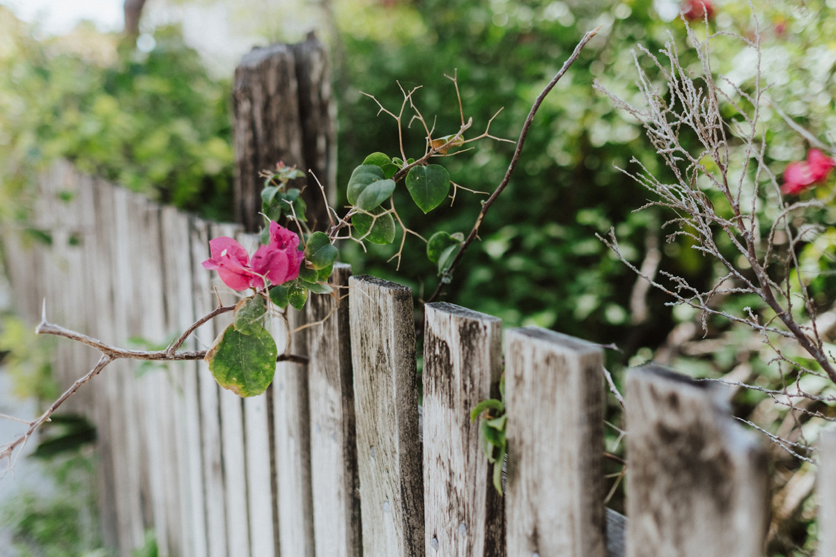 Belize Travel Photos (124)