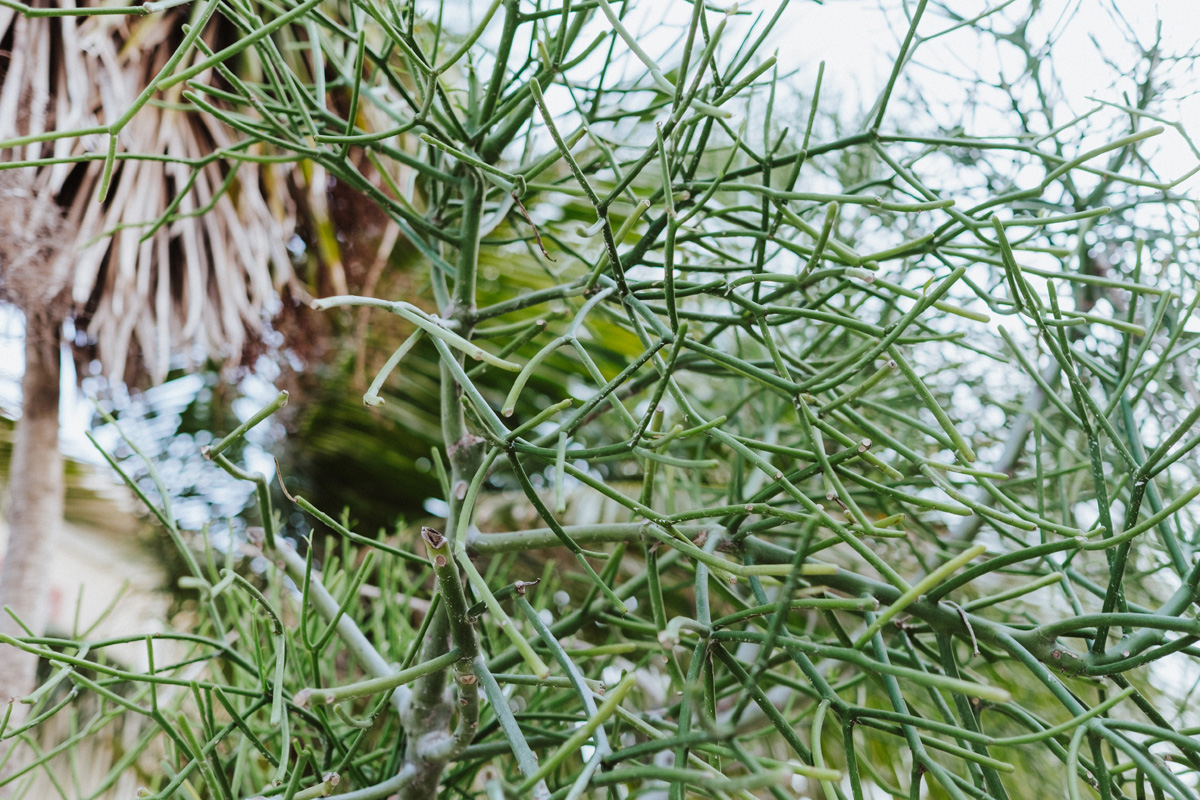 Belize Travel Photos (131)