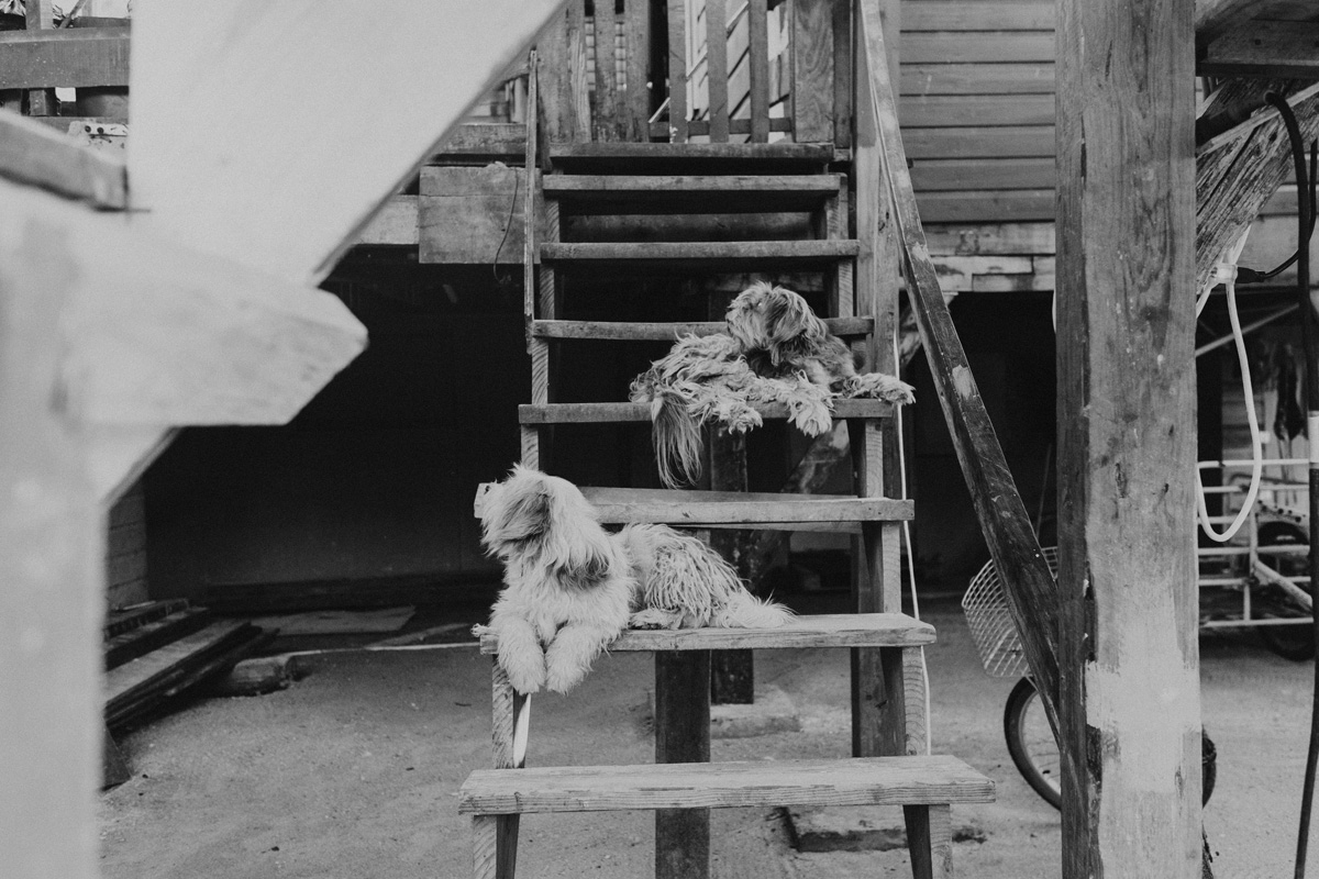 Belize Travel Photos (133)