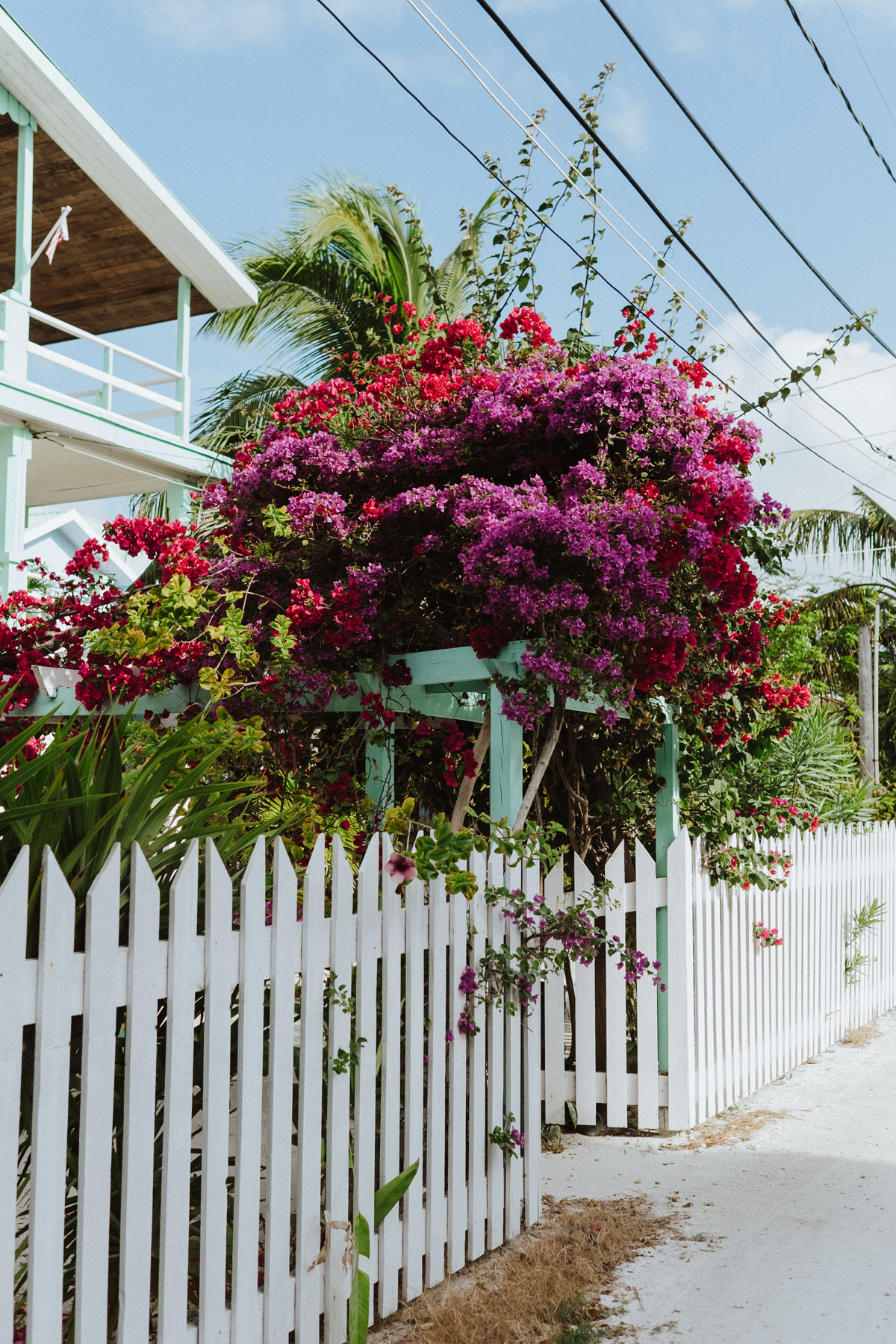 Belize Travel Photos (135)