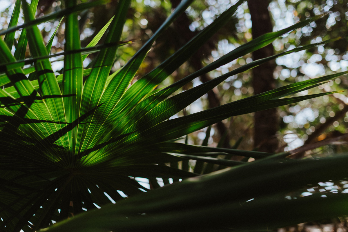 Belize Travel Photos (37)