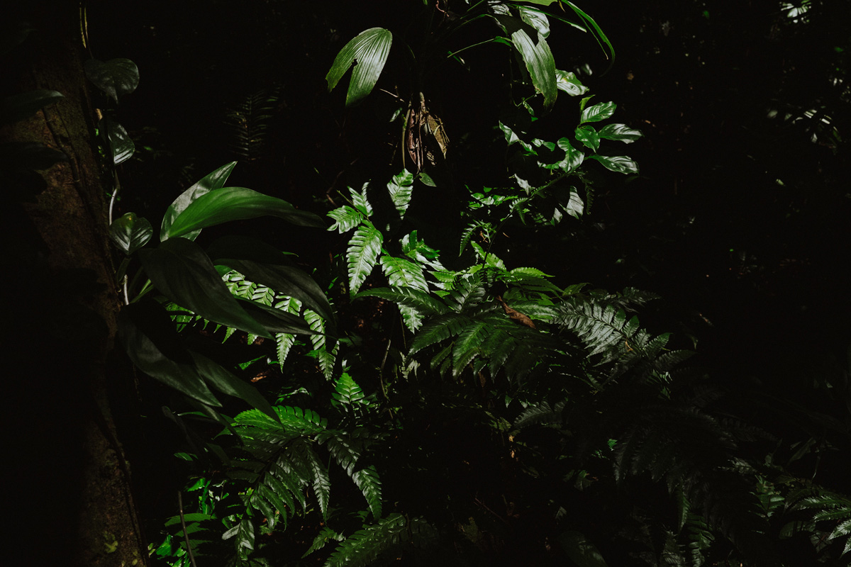 Belize Travel Photos (46)