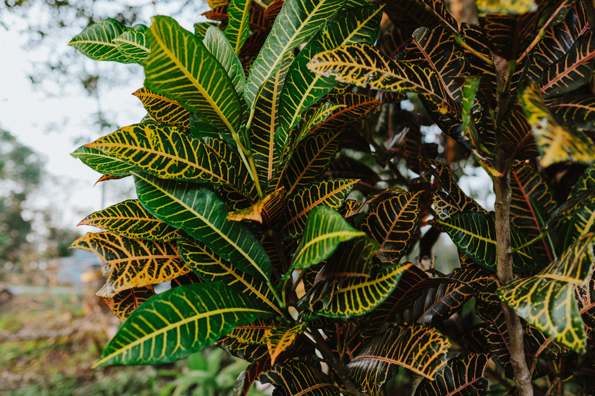 Belize Travel Photos (5)