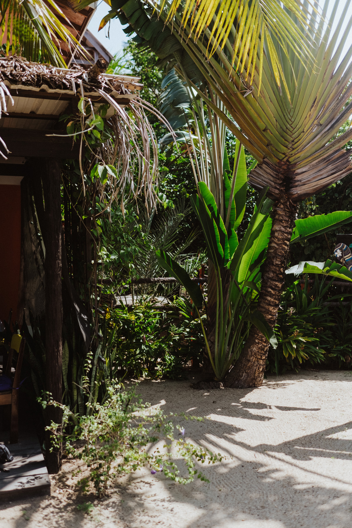 Belize Travel Photos (58)