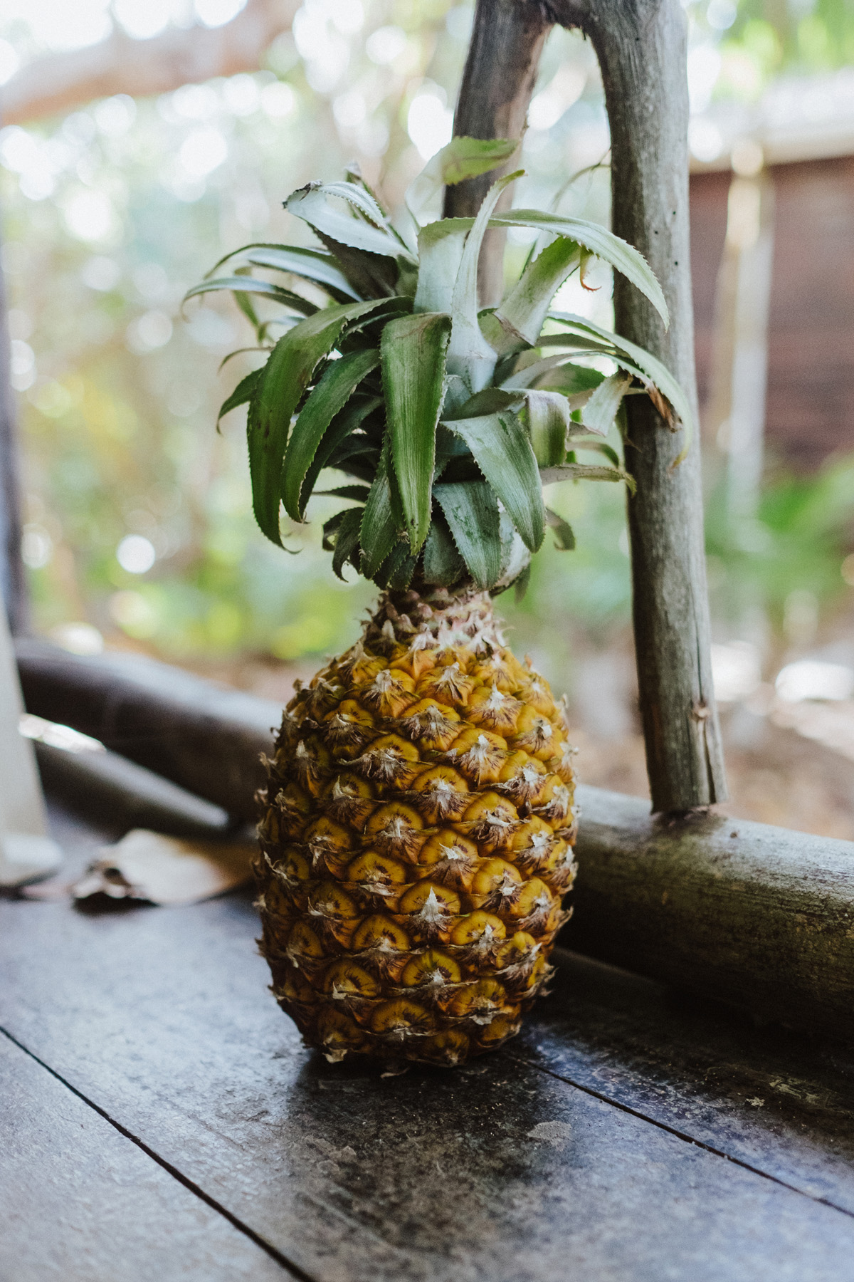 Belize Travel Photos (60)