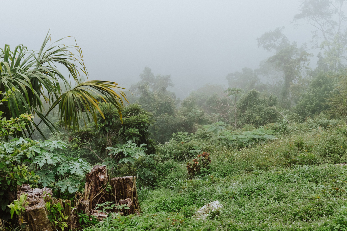 Belize Travel Photos (7)