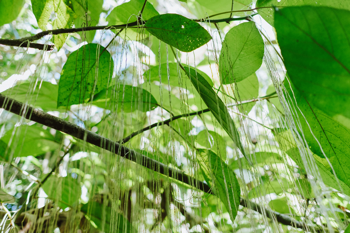 Belize Travel Photos (70)