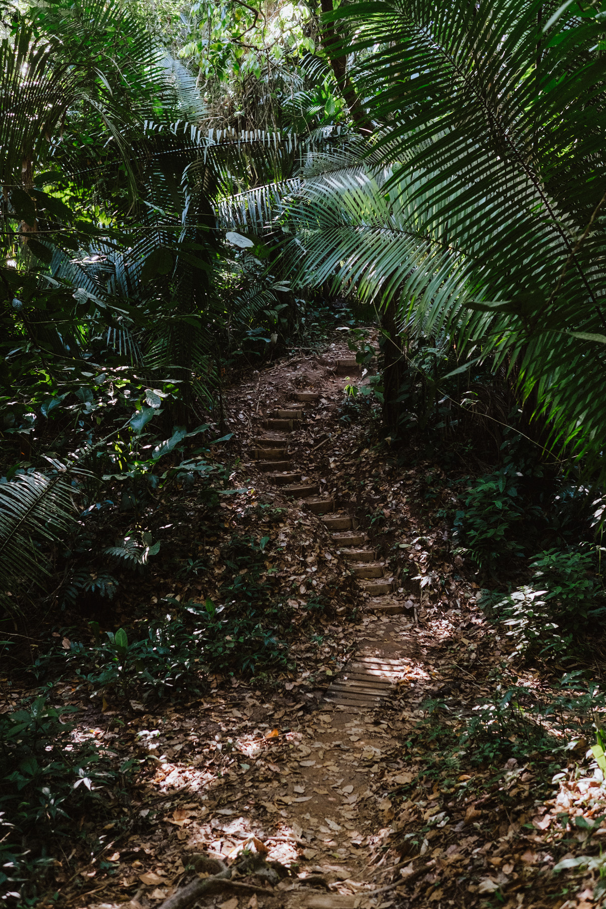 Belize Travel Photos (71)