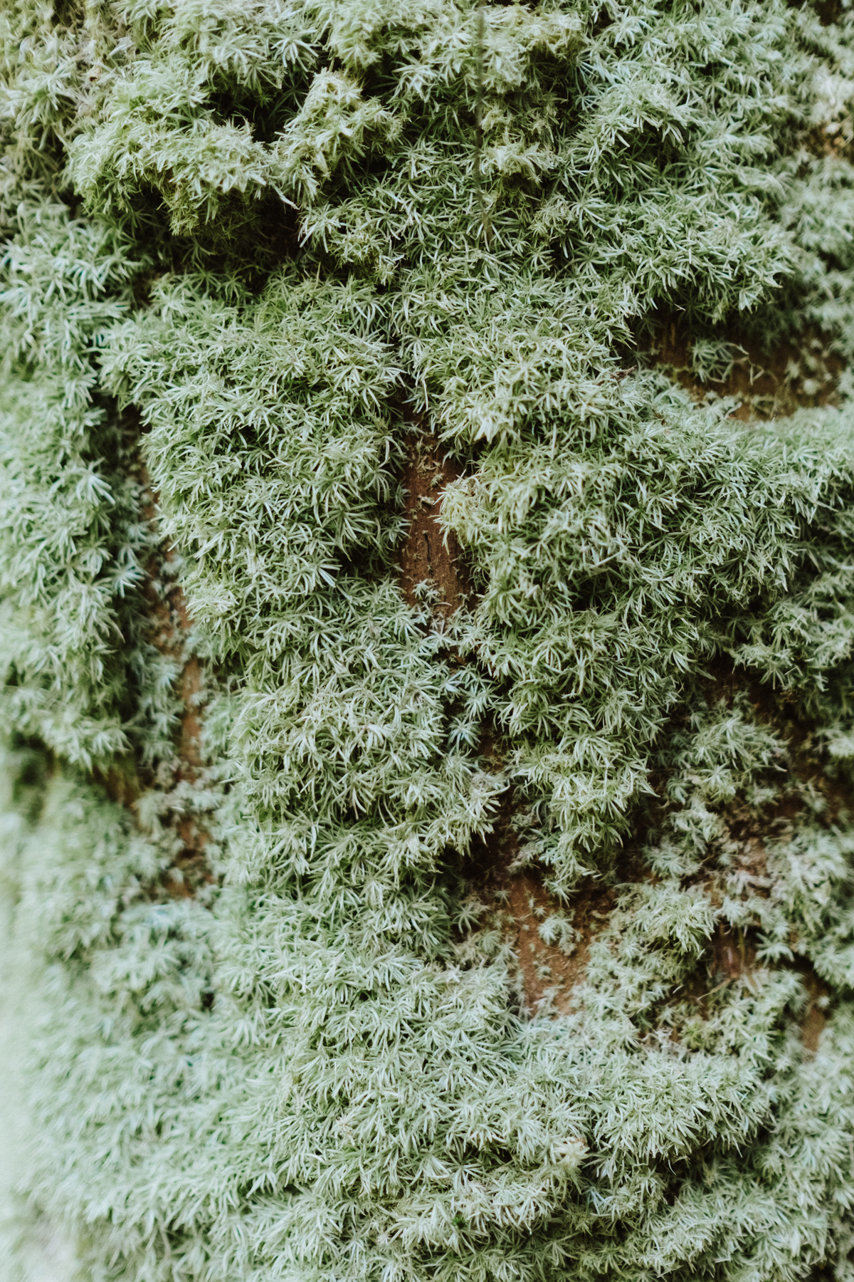 Belize Travel Photos (73)