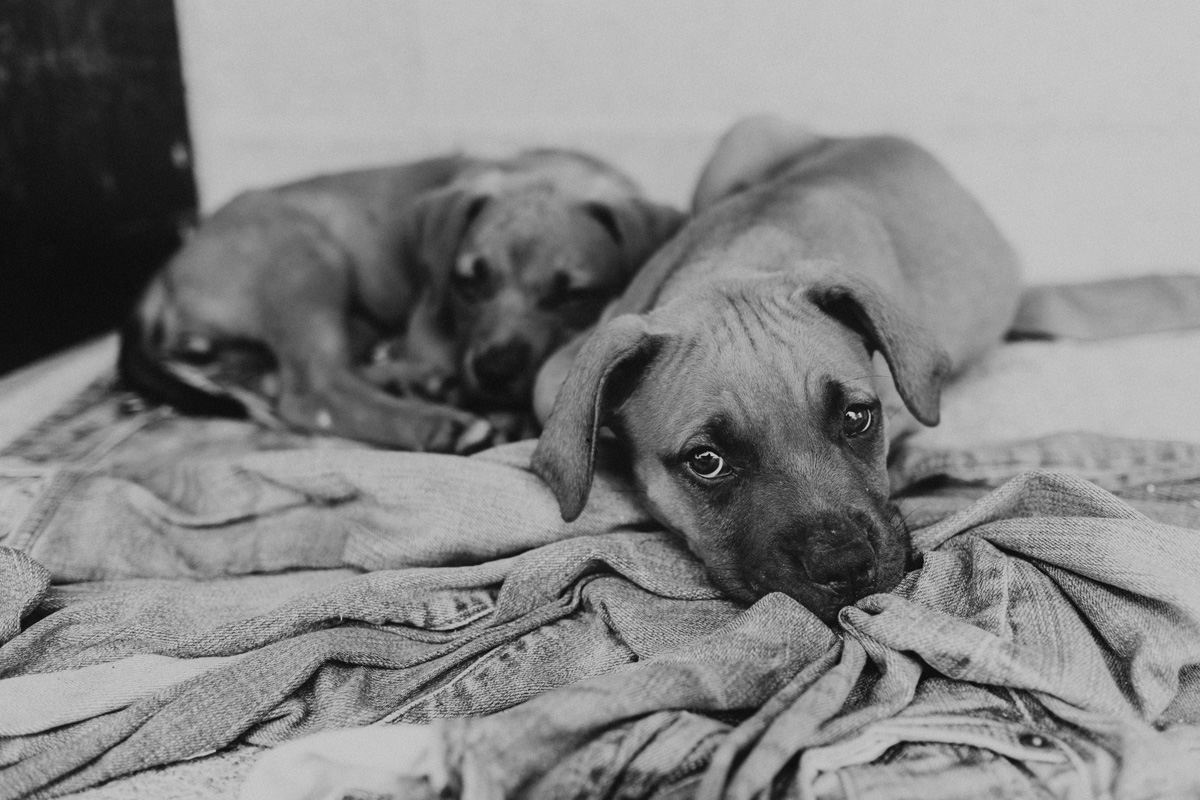 Belize Travel Photos (8)