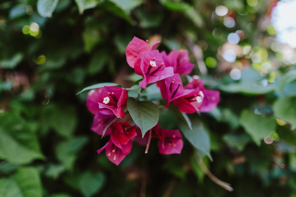 Belize Travel Photos (82)