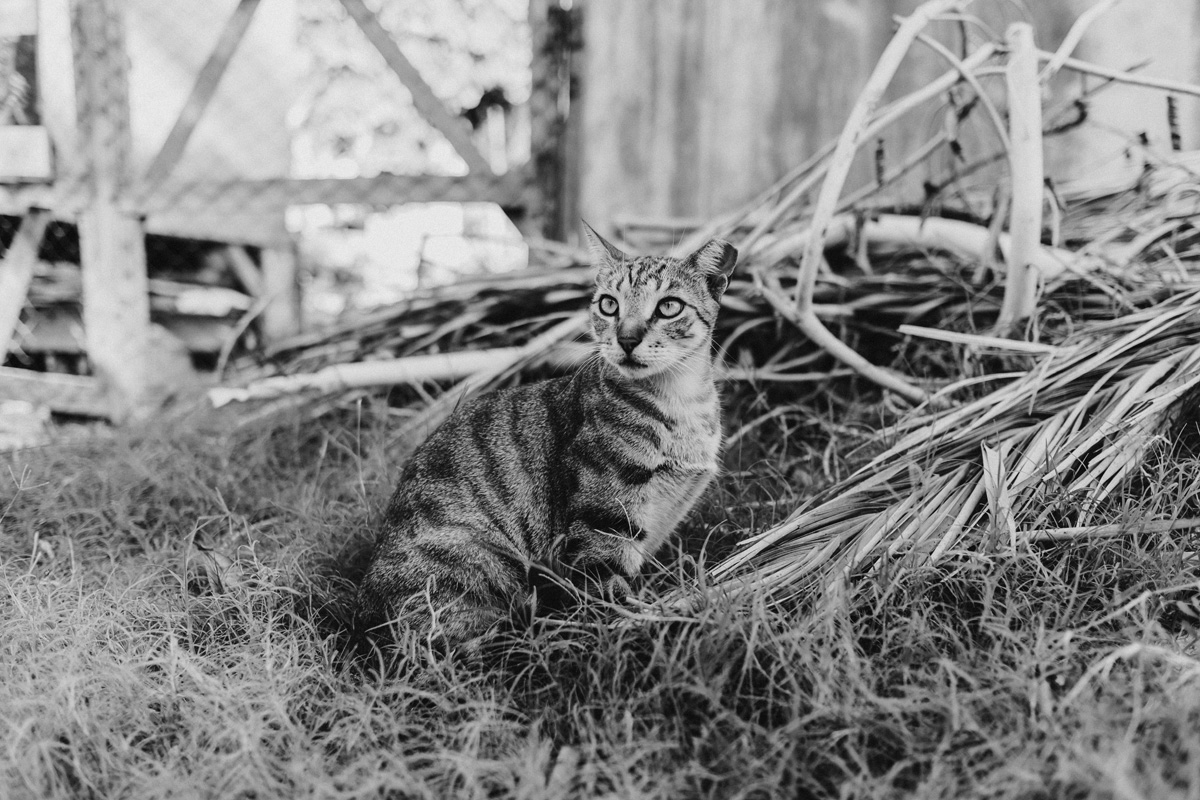 Belize Travel Photos (86)