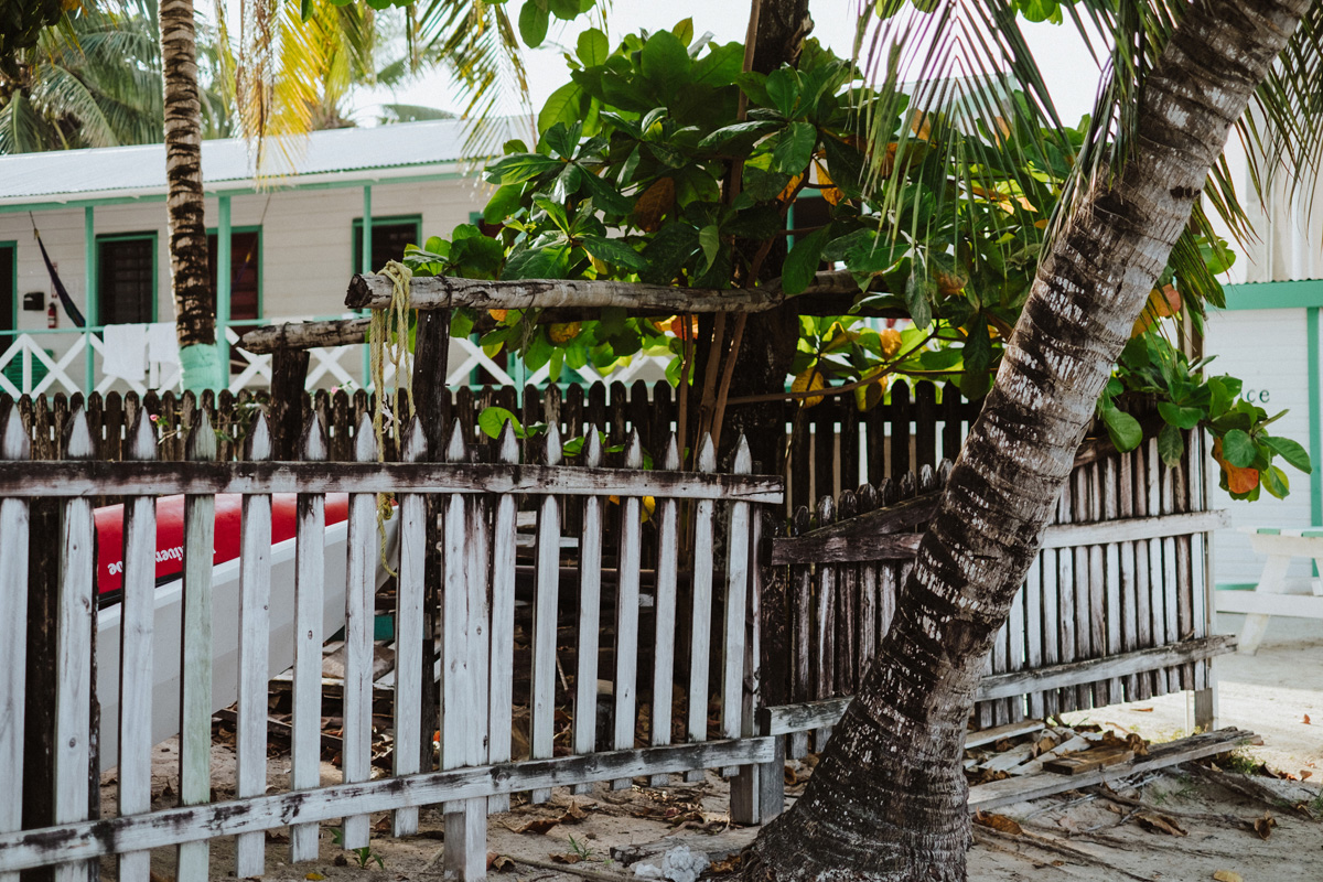 Belize Travel Photos (91)