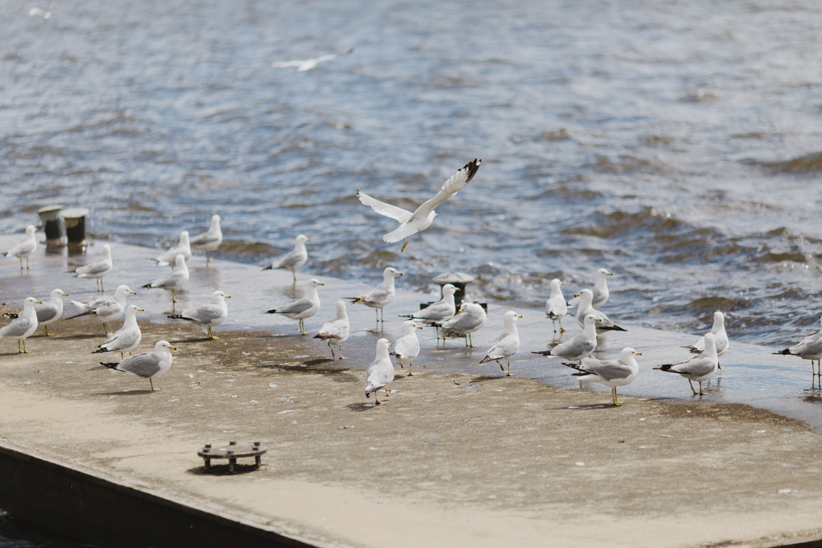 Britannia Yacht Club Wedding (45)