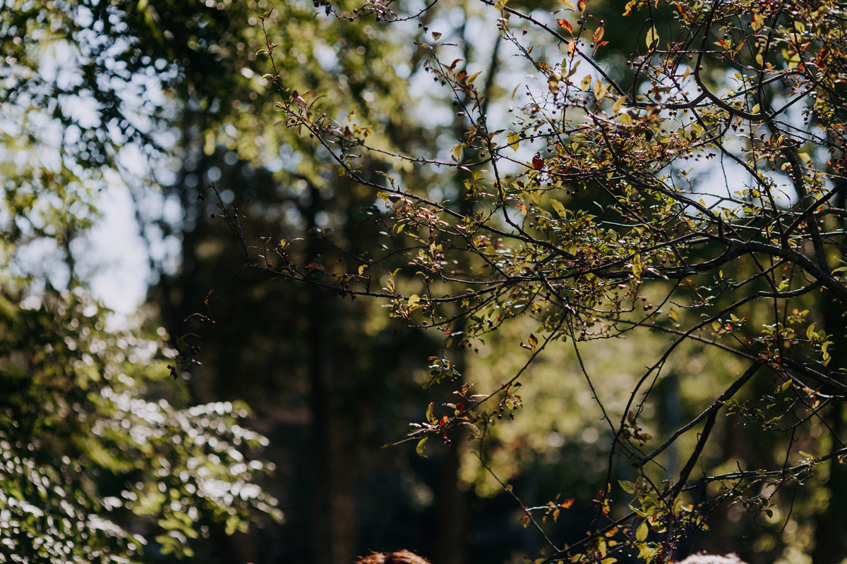 Codes Mill Perth Wedding Venue (21)