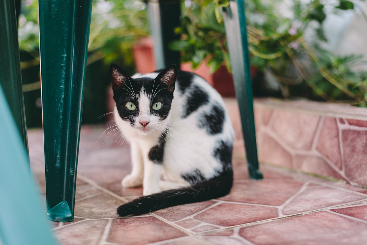 Corn Islands Little Corn Big Corn Nicaragua Photos (140)