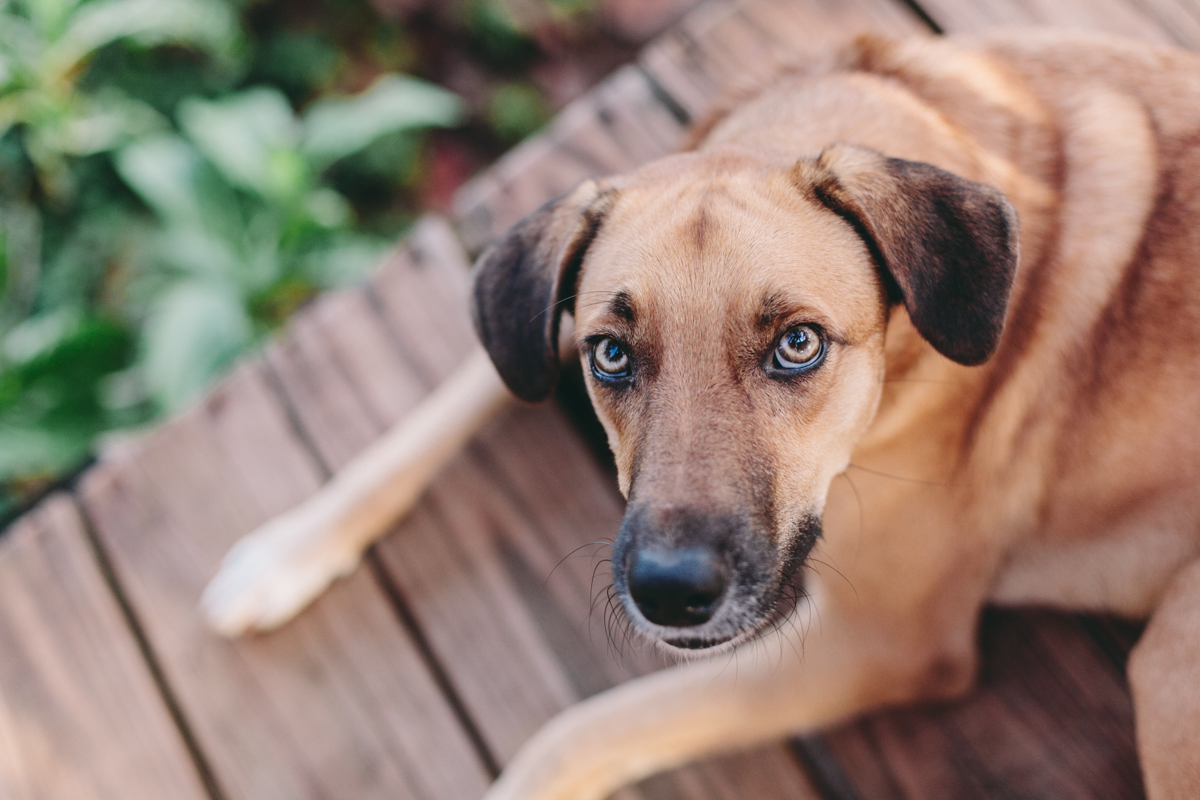Corn Islands Little Corn Big Corn Nicaragua Photos (72)