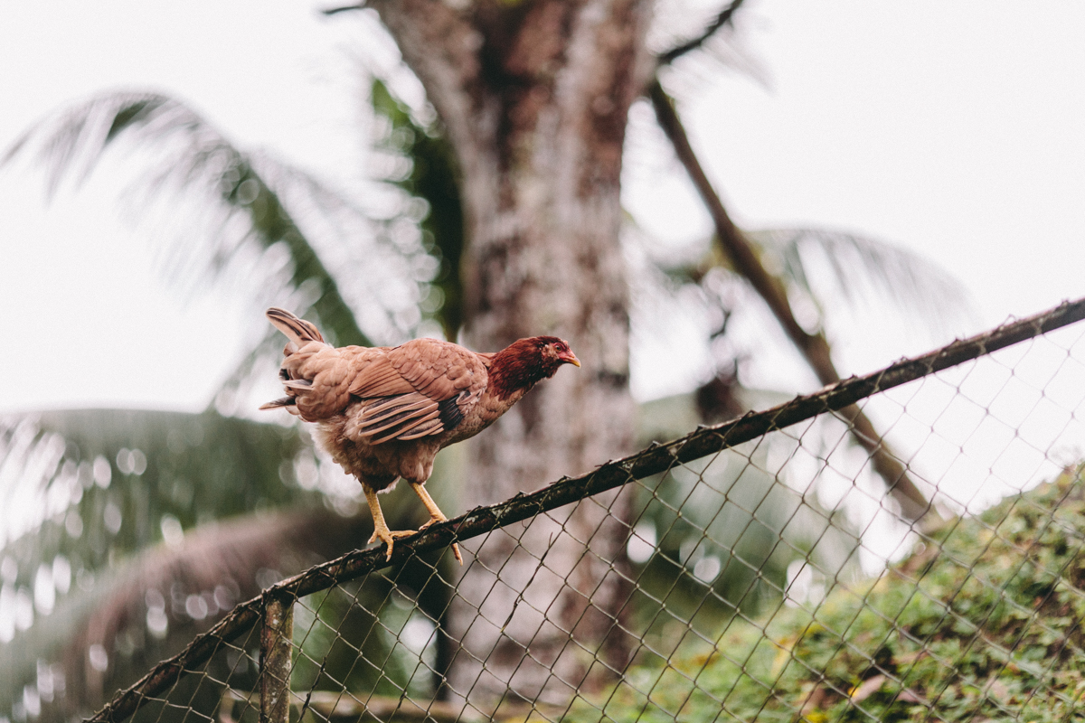 El Castillo Nicaragua Travel Photography (198)