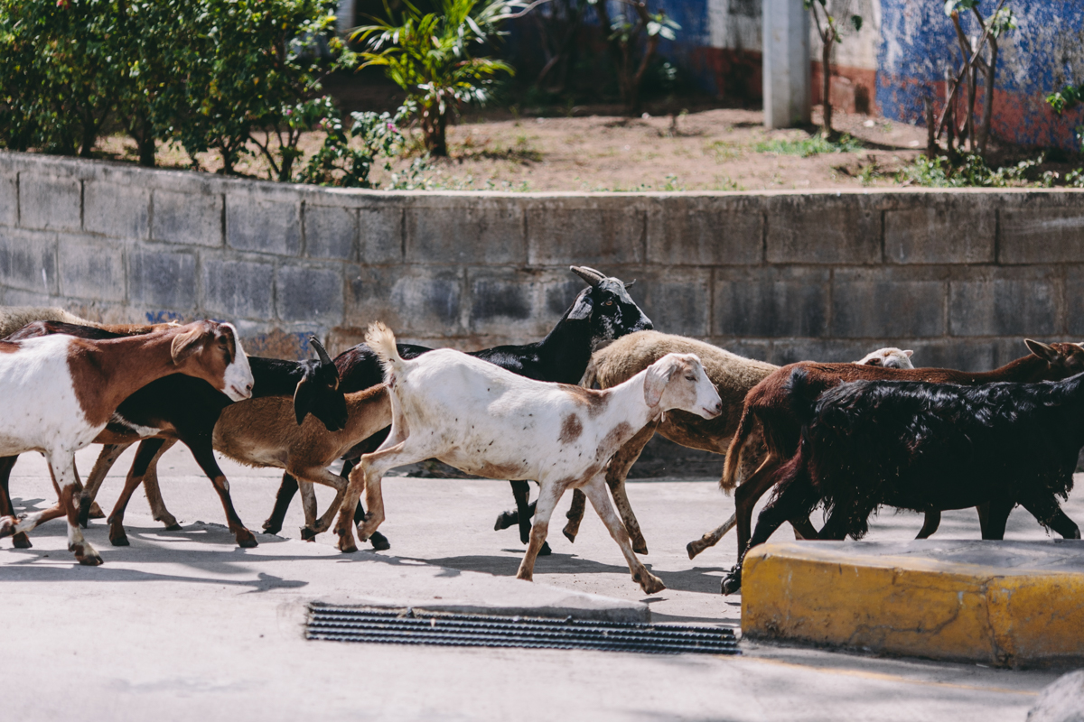 Granada Nicaragua Travel Photography (22)