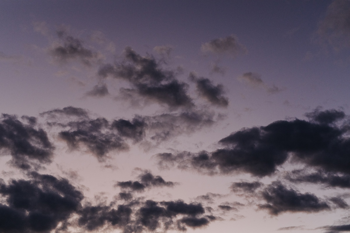 Herb Garden Ottawa Wedding Venue (104)