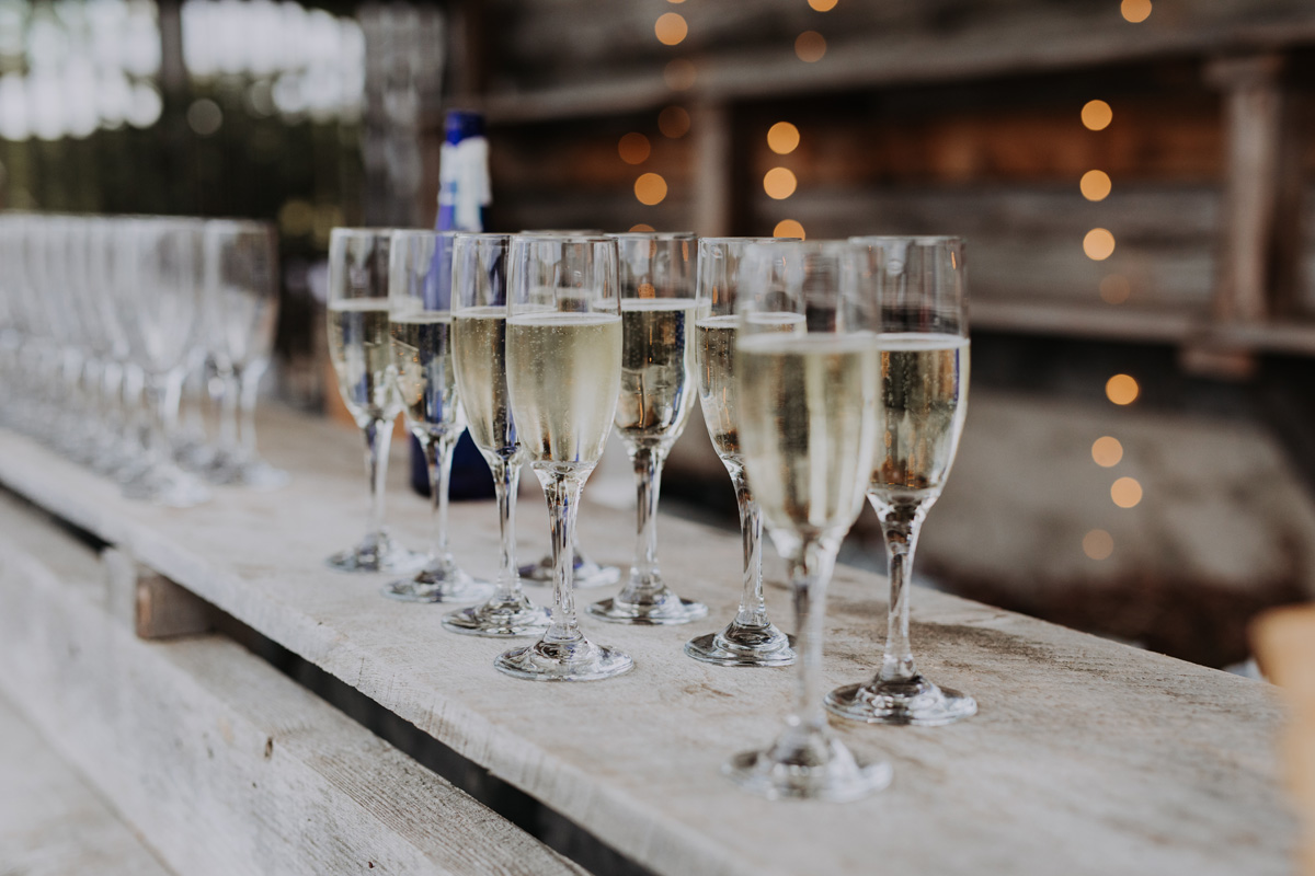 Herb Garden Ottawa Wedding Venue (84)