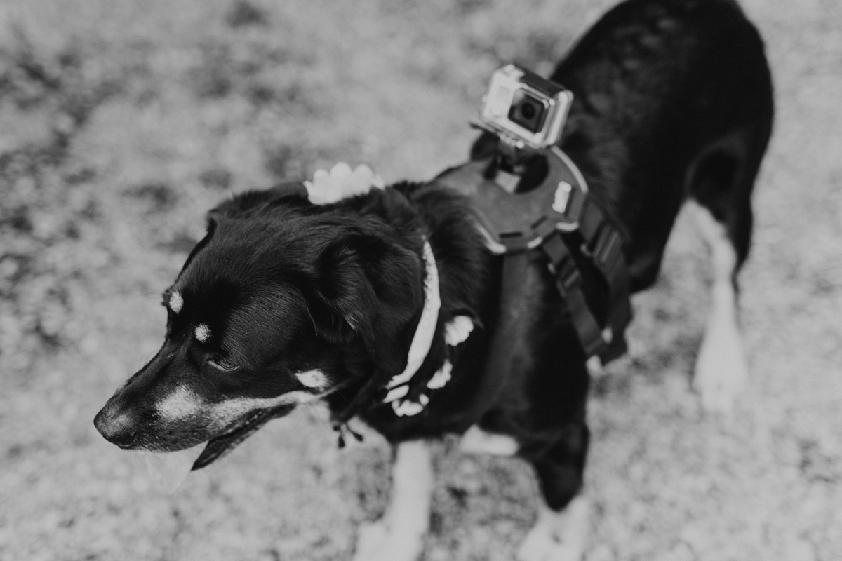 Herb Garden Wedding Ottawa (25)