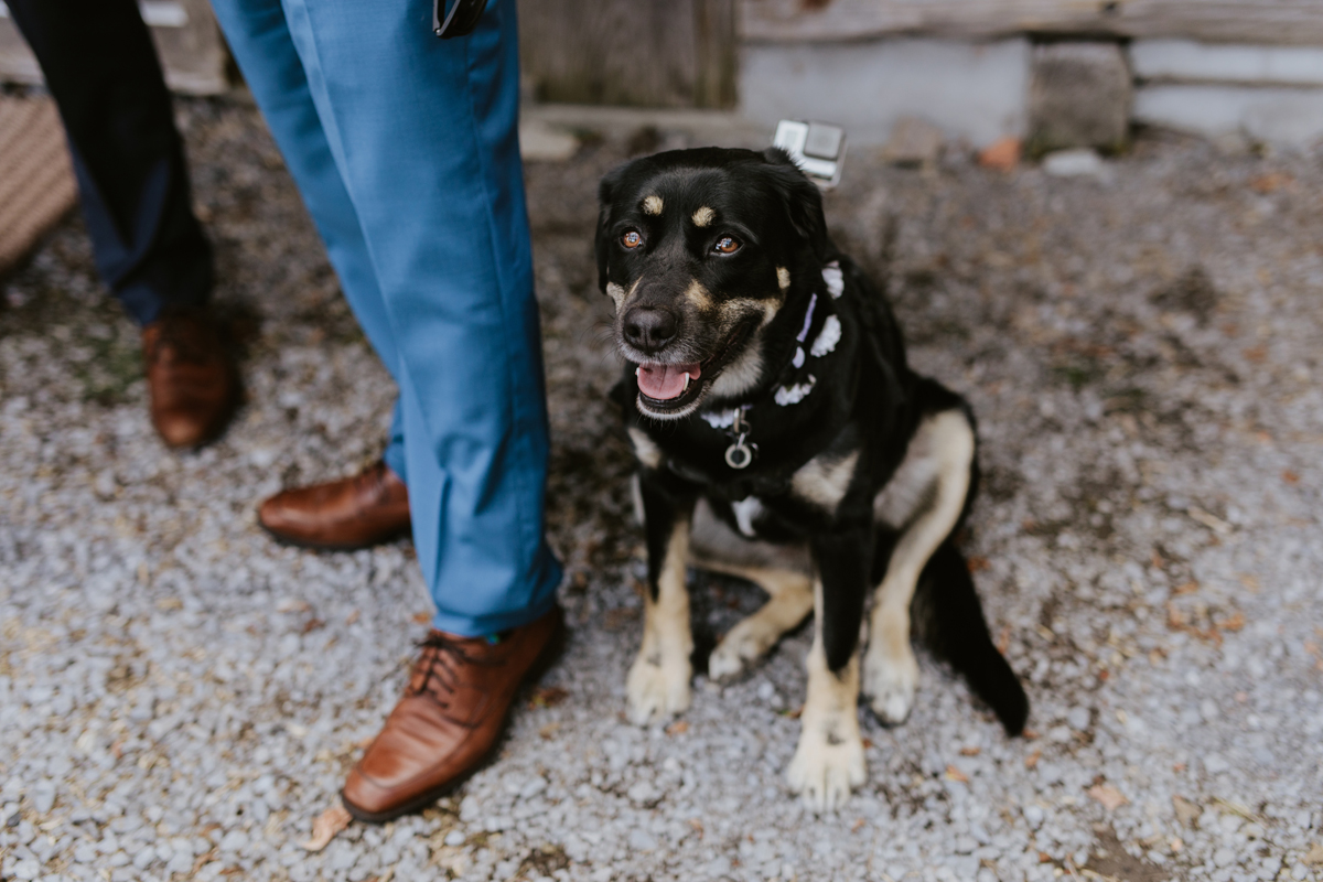 Herb Garden Wedding Ottawa (27)