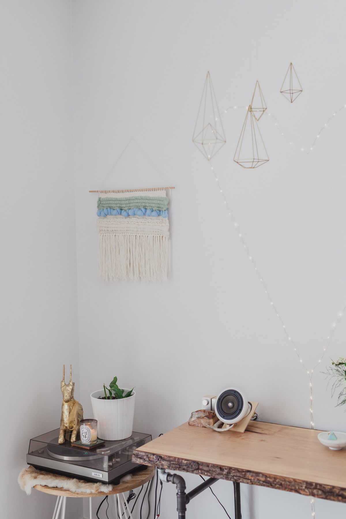 Intimate Hintonburg Wedding Ottawa Photographer Anita Peeples (13)