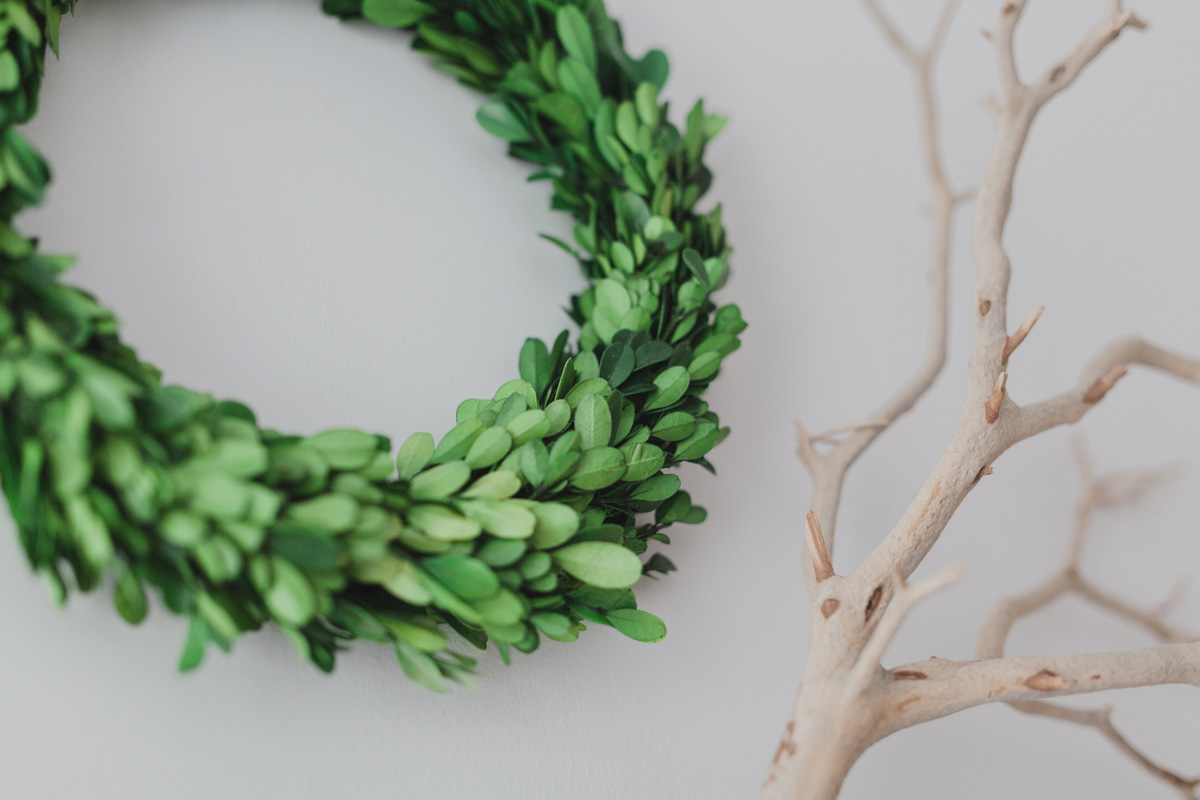 Intimate Hintonburg Wedding Ottawa Photographer Anita Peeples (27)