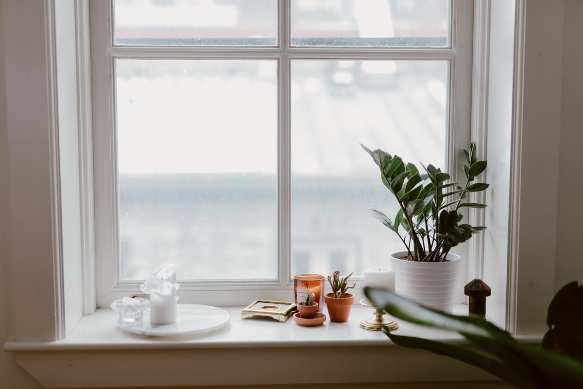 Laura Brisson Point B Digital Marketing Business Portraits (19)