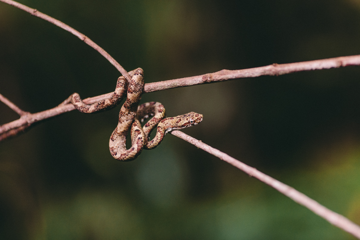 Nicaragua Photography El Castillo Travel (39) Copy