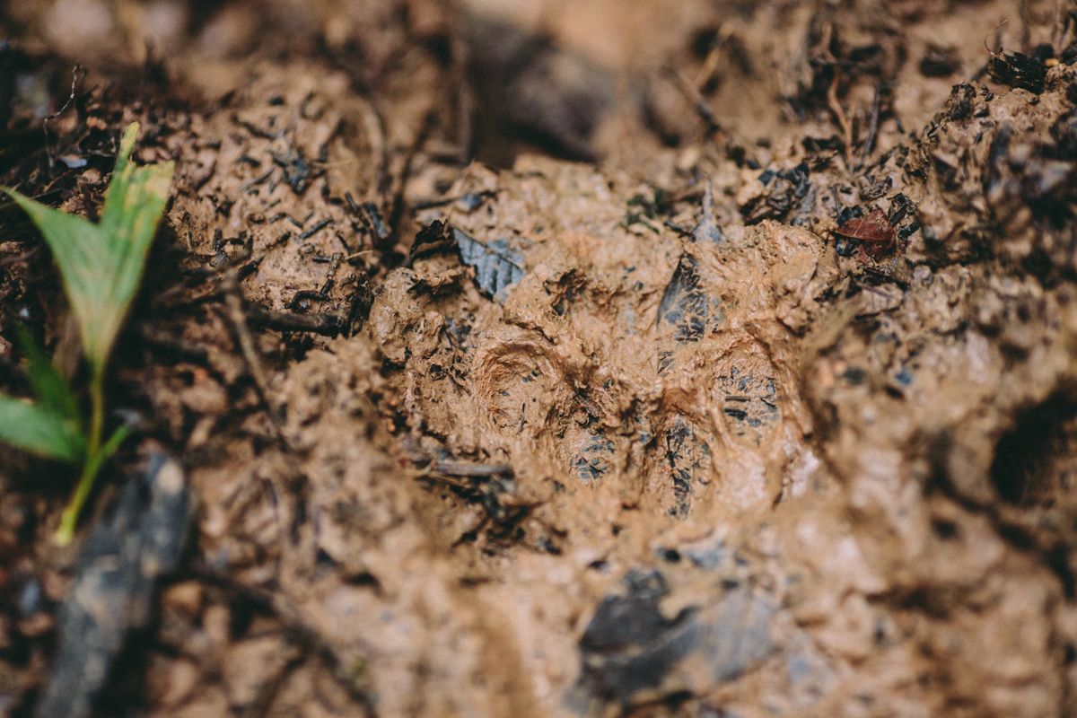 Nicaragua Photography El Castillo Travel (42) Copy