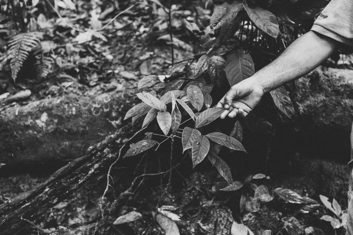 Nicaragua Photography El Castillo Travel (54) Copy