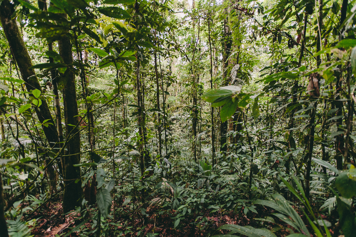 Nicaragua Photography El Castillo Travel (56) Copy