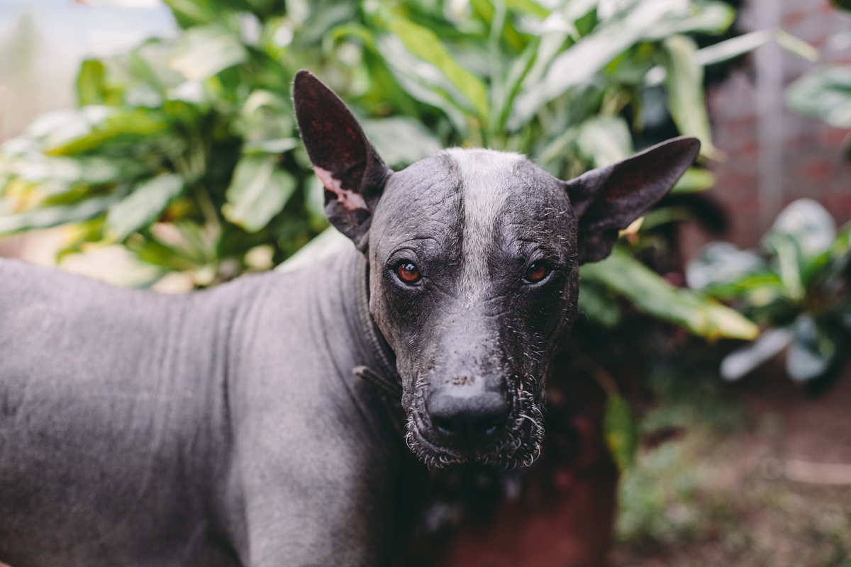 Ometepe Nicaragua Travel Photography (100)